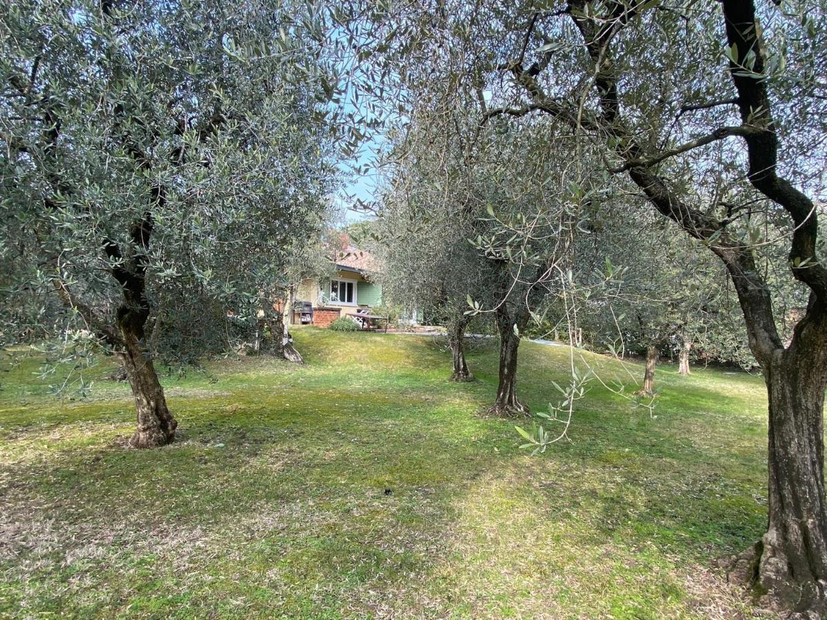 Villa Sweet Flower - With Private Pool And Garden Manerba del Garda Esterno foto