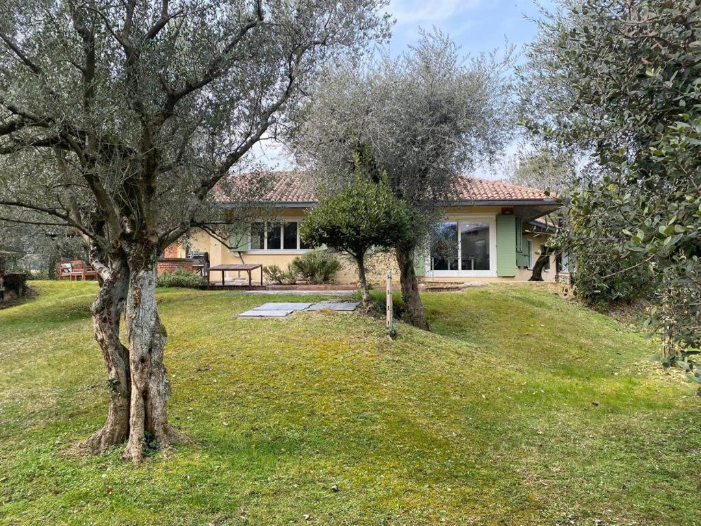 Villa Sweet Flower - With Private Pool And Garden Manerba del Garda Esterno foto